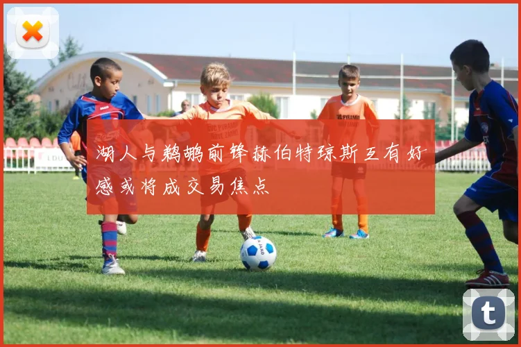 湖人与鹈鹕前锋赫伯特琼斯互有好感或将成交易焦点